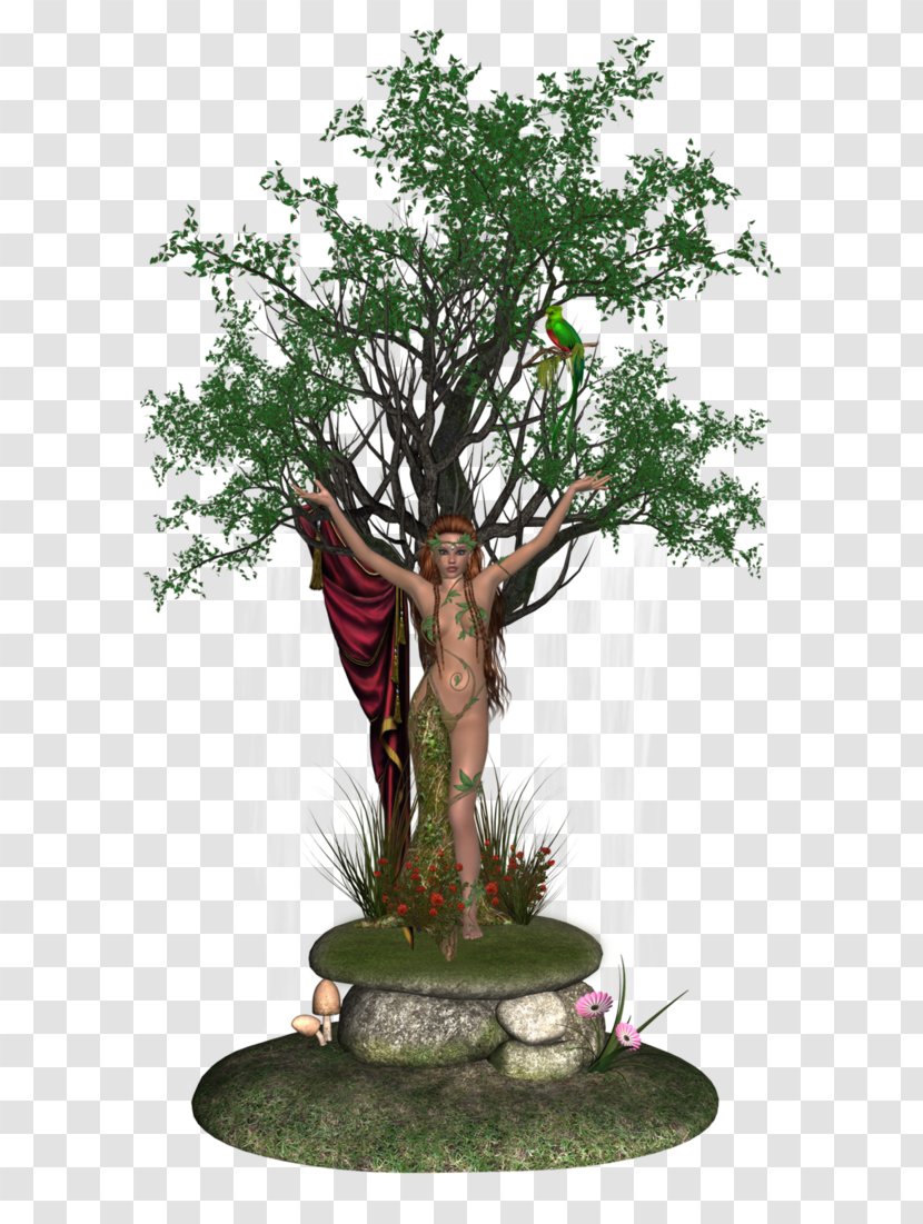 Bonsai Tree Woody Plant Liancheng County Dryad Transparent PNG