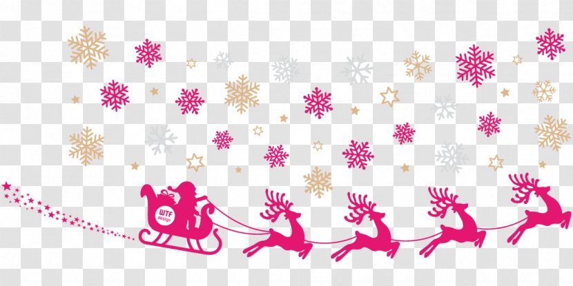 Reindeer Santa Claus Christmas - Flower Transparent PNG