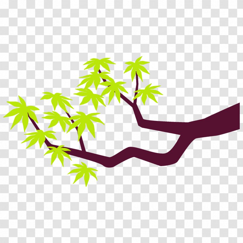 Maple Branch Leaves Tree - Plant Stem Transparent PNG
