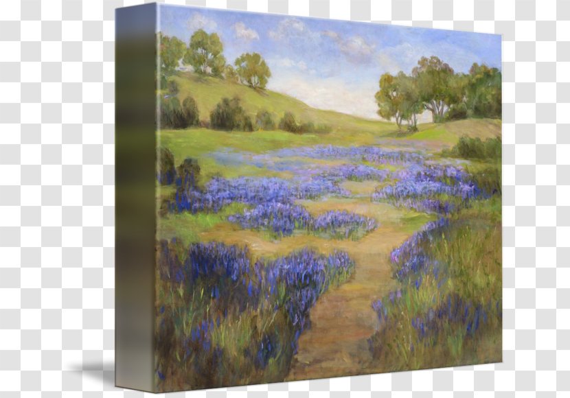 Watercolor Painting Acrylic Paint Gallery Wrap - Landscape Transparent PNG