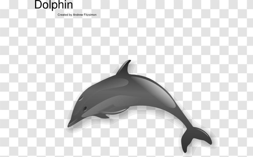 Dolphin Free Content Clip Art - Porpoise - Dolphins Jumping Cliparts Transparent PNG