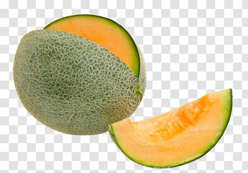 Cantaloupe Honeydew Galia Melon Canary Watermelon - Auglis - Close To The Lines Of Transparent PNG