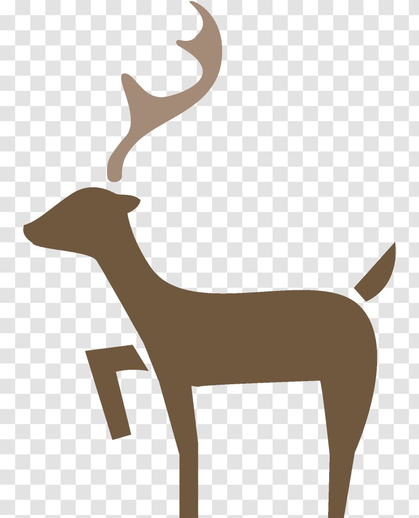 Reindeer Christmas - Antelope - Fawn Whitetailed Deer Transparent PNG