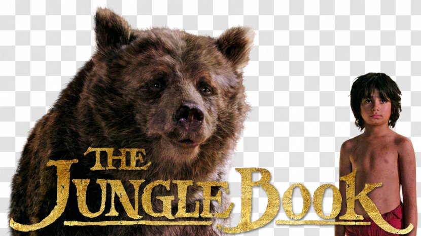The Jungle Book Mowgli Fan Art Walt Disney Company Film - Junglebook Transparent PNG