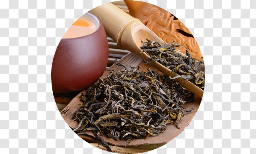 Oolong Green Tea White Anxi County - Chun Mee Transparent PNG