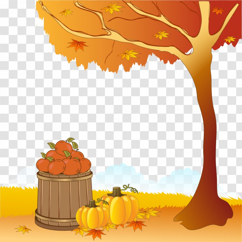 Autumn Photography Illustration - Orange - Vector Pumpkin Harvest Transparent PNG