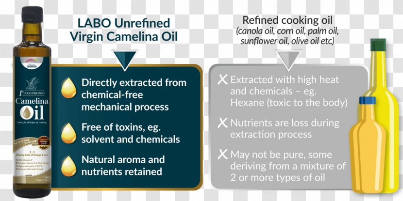 Camelina Sativa Cooking Oils Vegetable Oil Refining - Extraction Transparent PNG