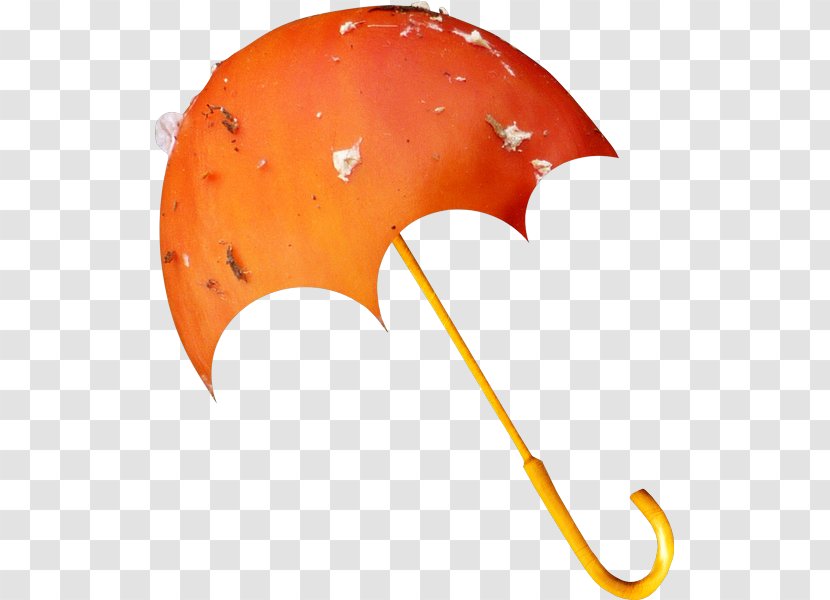 Umbrella Orange Clip Art Transparent PNG