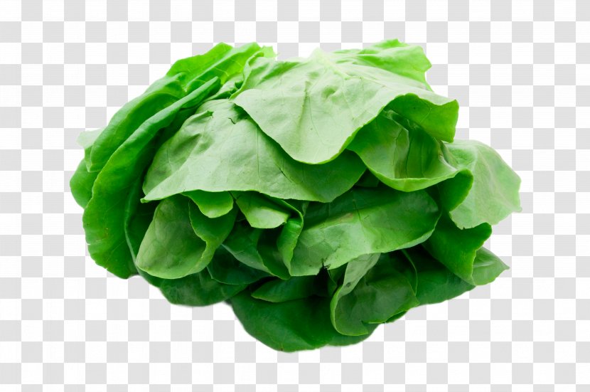 Romaine Lettuce Vegetable - Fresh Vegetables Transparent PNG