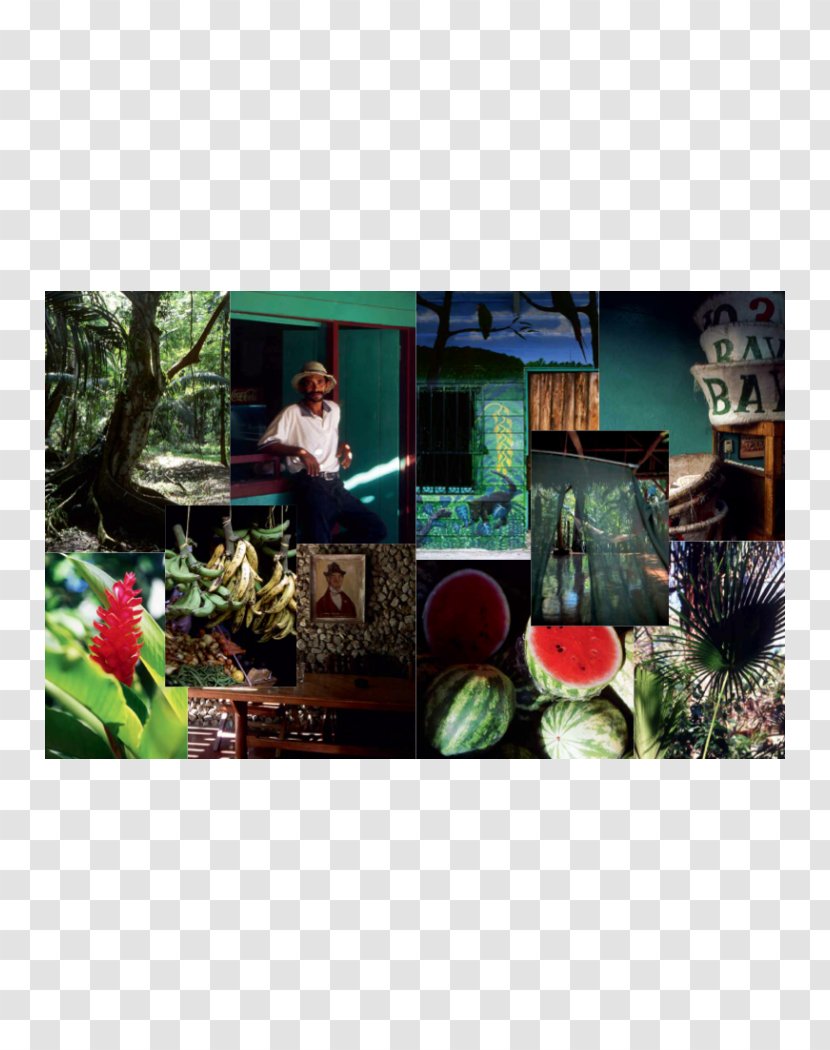 House Publishing Book Sea Collage - Frank Ocean Transparent PNG