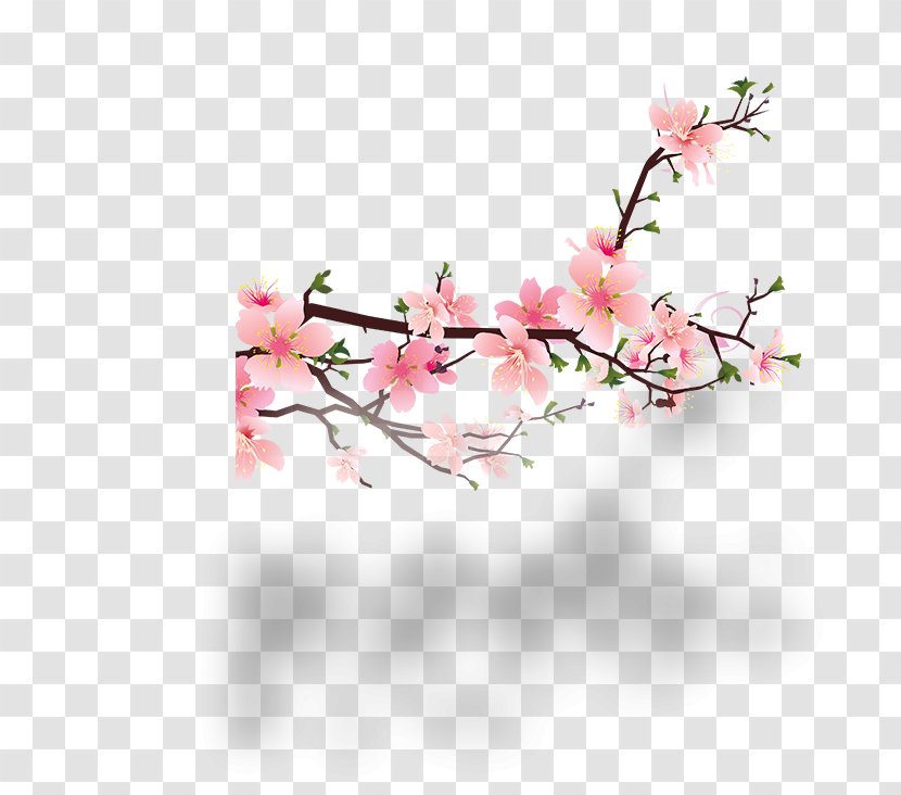 Blossom Peach Clip Art - Flowering Plant - Plum Flower Transparent PNG