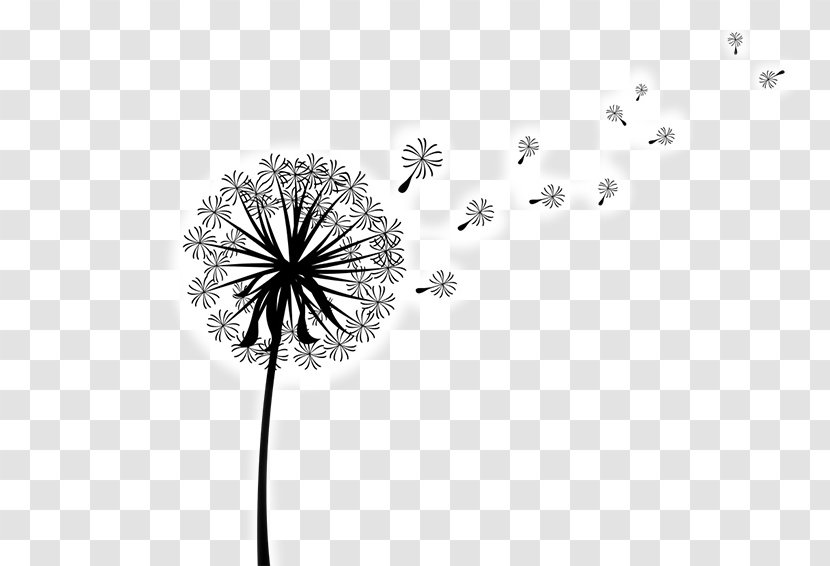 Clip Art Image Vector Graphics Dandelion Coffee Transparent PNG