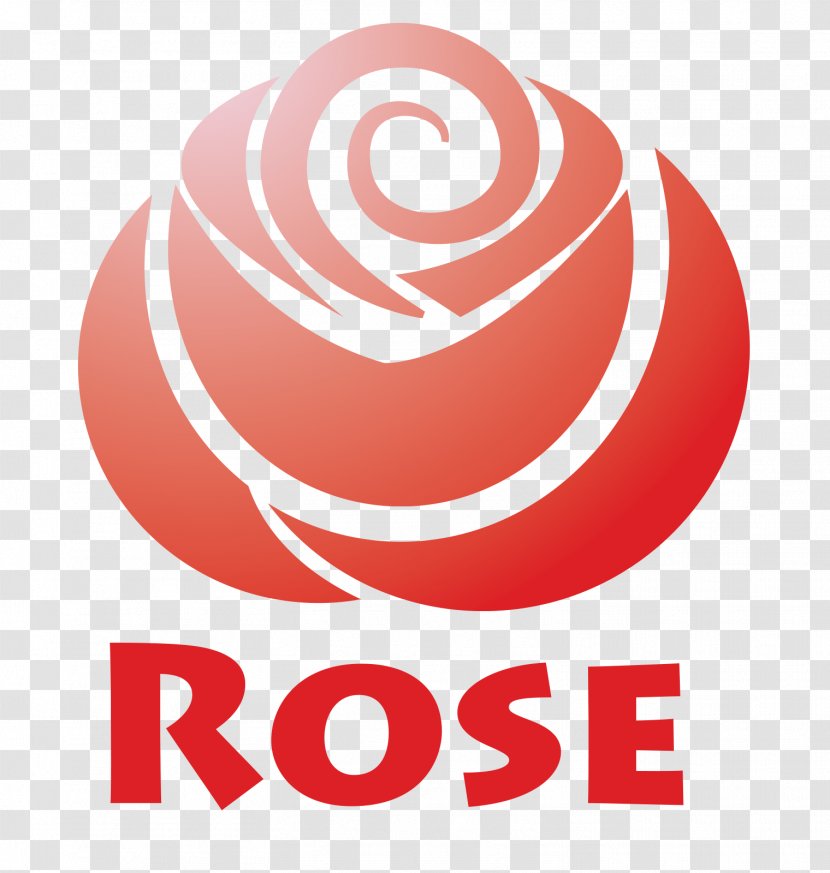 Rose Flower Floral Design - Material Transparent PNG
