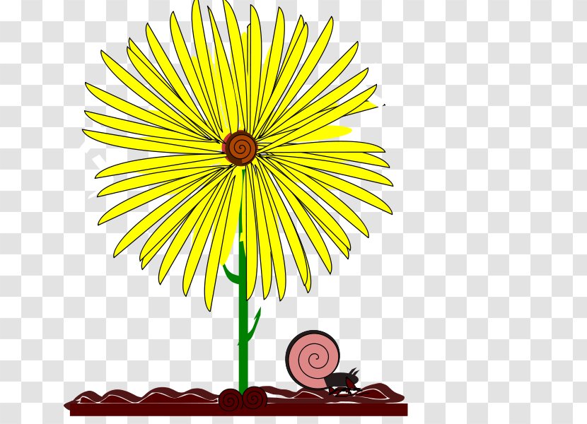 Flower Drawing Yellow Clip Art - Illustration Transparent PNG