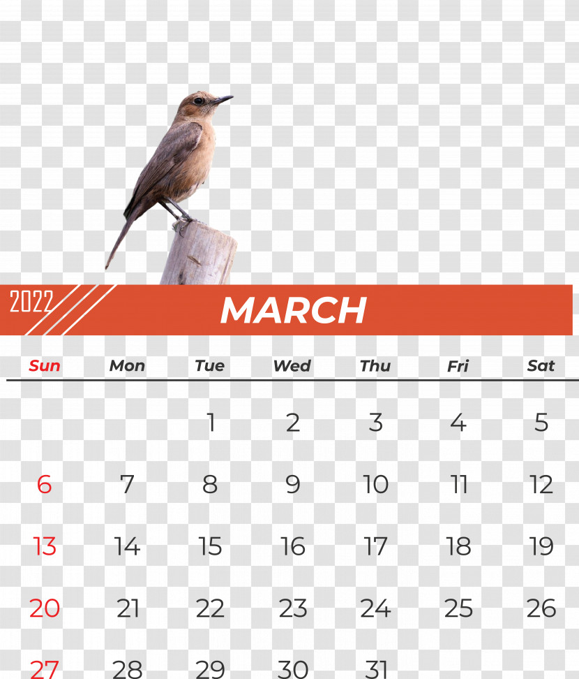 Birds Calendar Beak Font Meter Transparent PNG