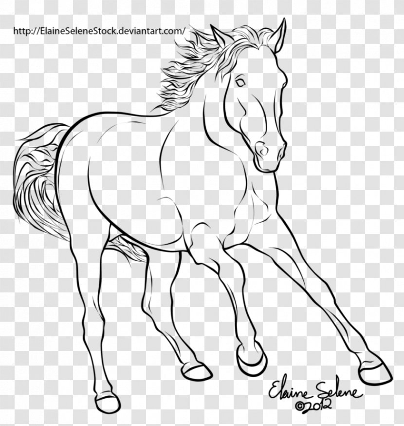 Mule Mustang American Paint Horse Stallion Foal - Rearing Transparent PNG