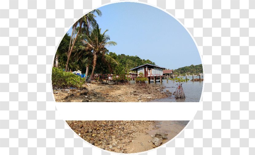 Shore Water Resources Land Lot Vacation Tourism Transparent PNG