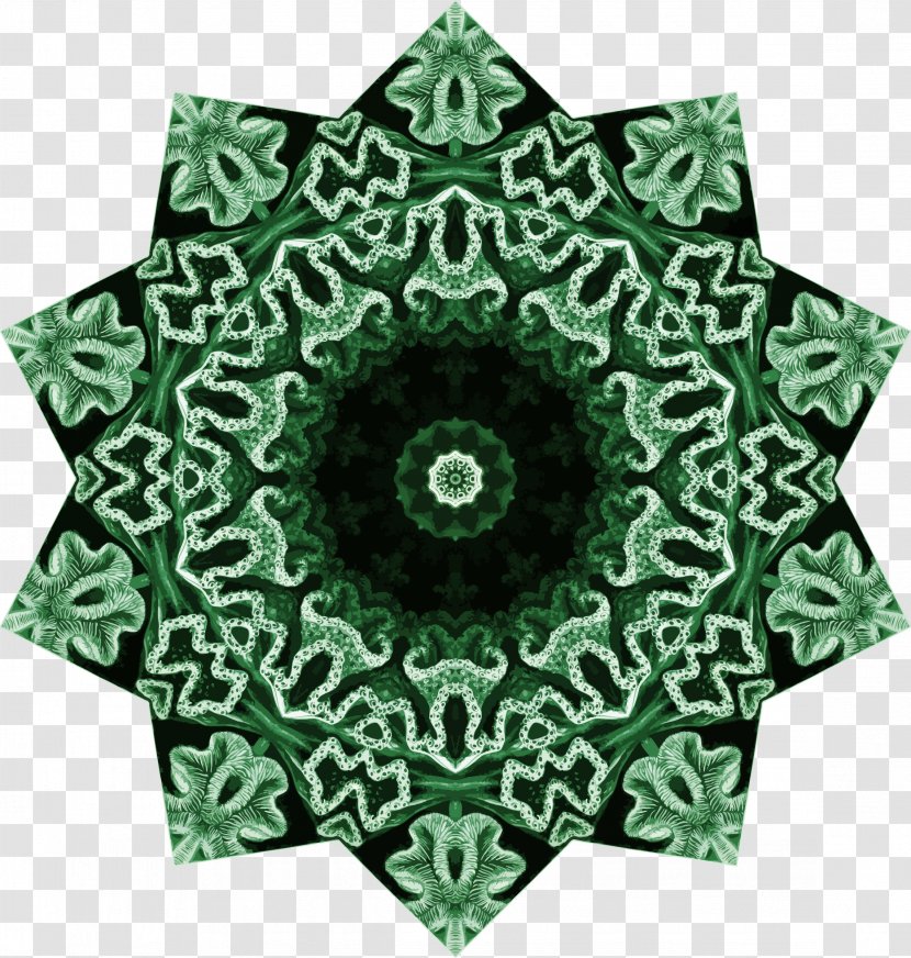 Hexacorallia Symmetry - Symmetric Transparent PNG