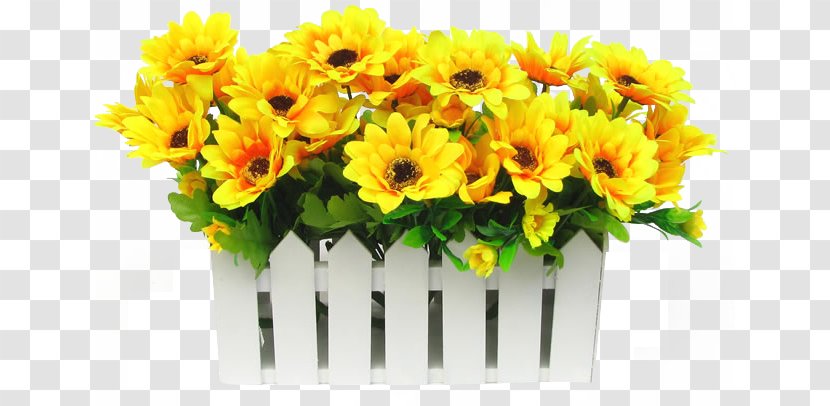 Common Sunflower Palisade - Background Transparent PNG