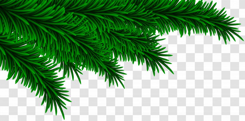 Christmas Clip Art - Pine Branches Decorating Image Transparent PNG