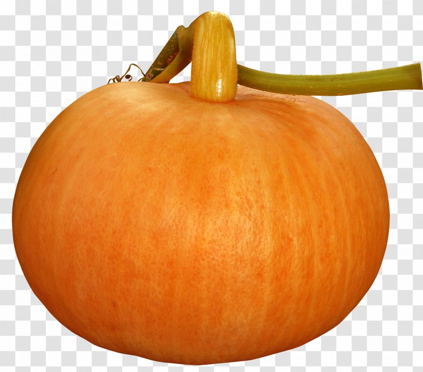 Pumpkin Calabaza Cucurbita Food Winter Squash - Onion Transparent PNG
