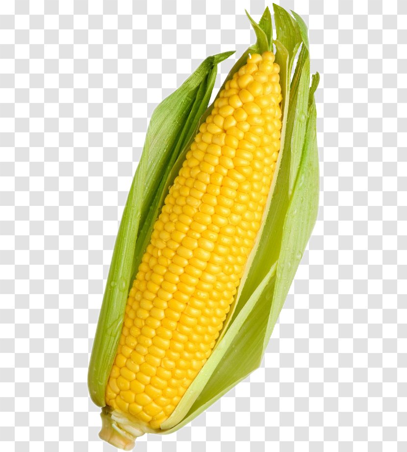 Vegetarian Cuisine Corn On The Cob Vegetable Kernel - Greens Transparent PNG