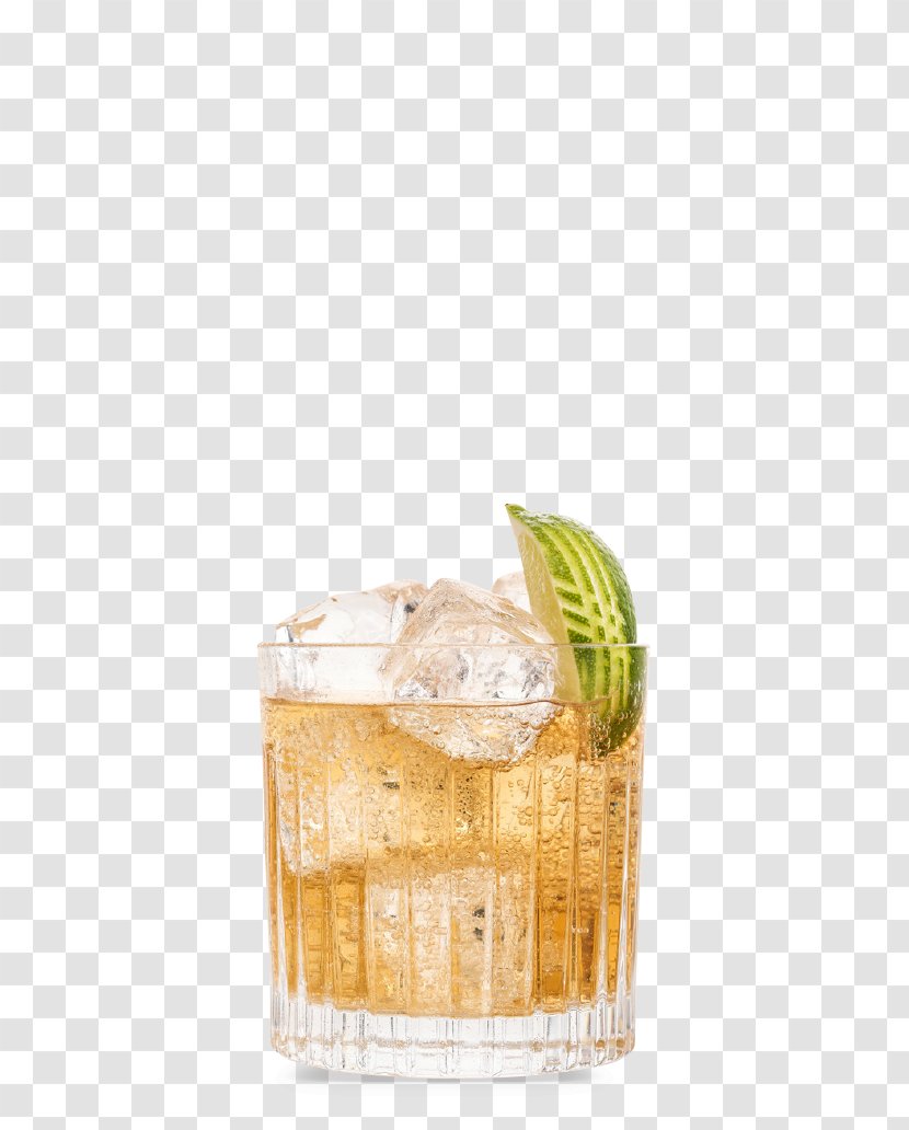 Mint Julep Gin And Tonic Cocktail Water - Ginger Ale Transparent PNG