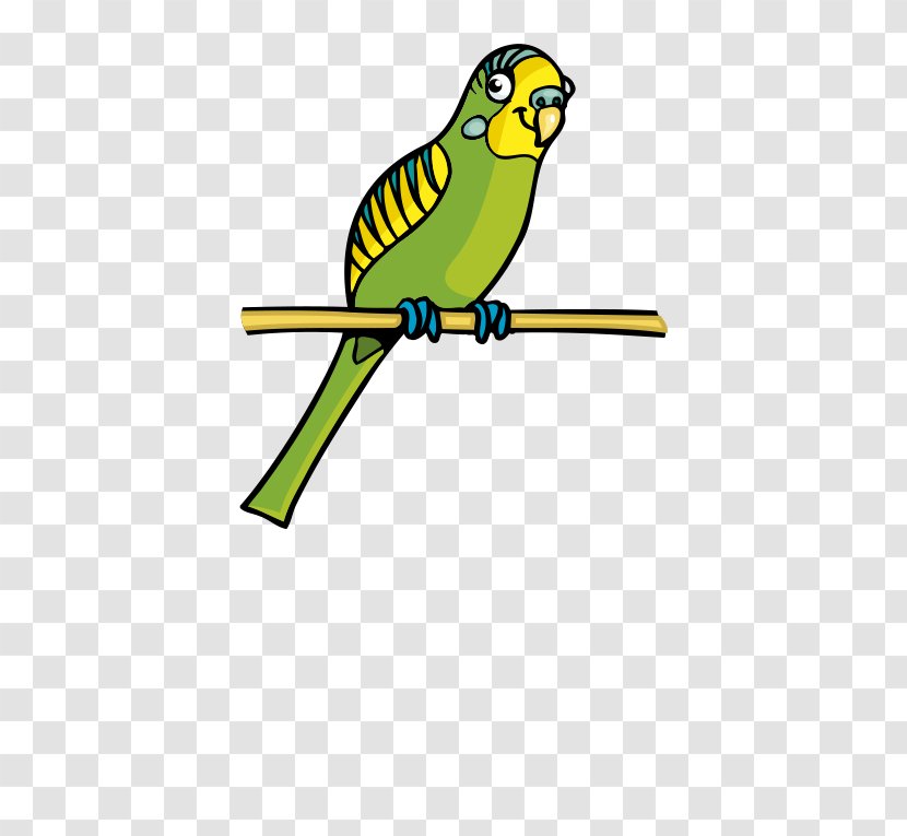 Parrot Bird Cartoon Clip Art - Animal - Cute Transparent PNG