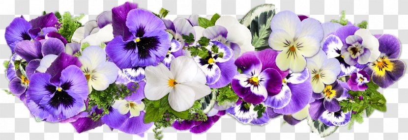 Pansy Pink Bunch Violet Gift Greeting & Note Cards - Flower Arranging - Little Wild Transparent PNG