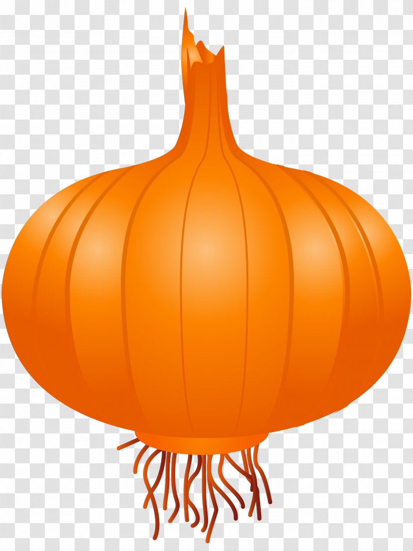 Calabaza Onion Vegetable Clip Art - Pumpkin Transparent PNG