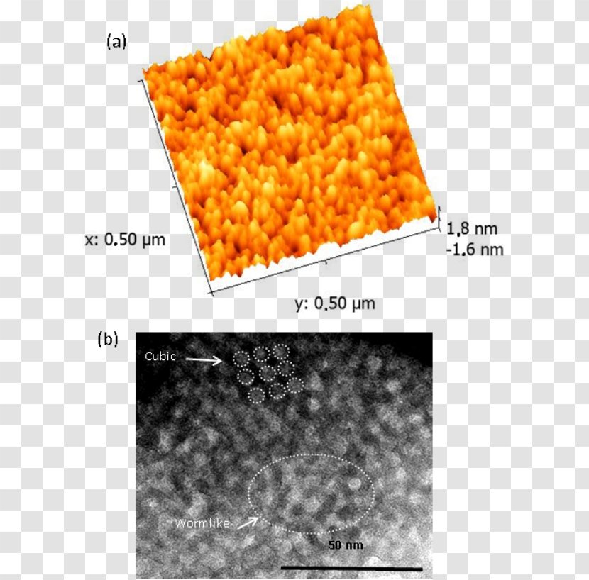 X-ray Photoelectron Spectroscopy Atomic Force Microscopy Photoemission Titanium Dioxide - Raman - Xray Transparent PNG