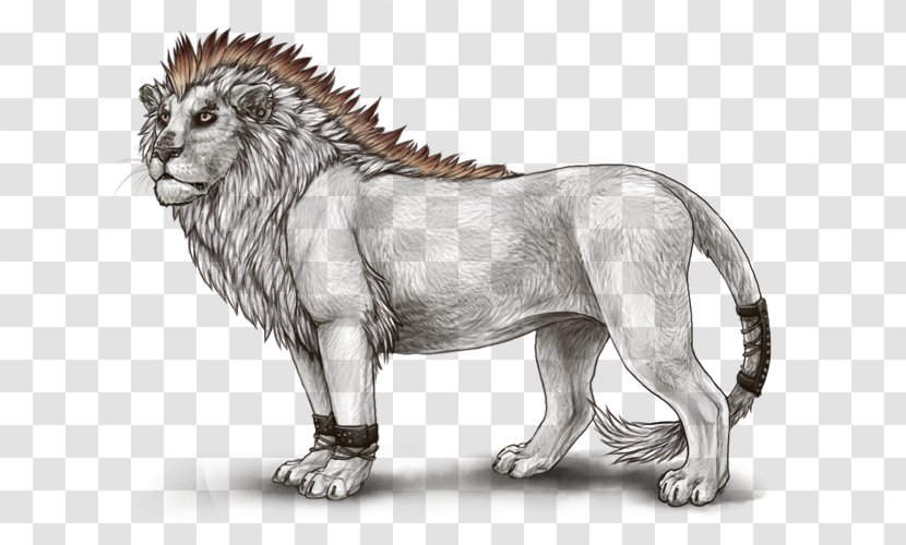Lion Roar Big Cat Terrestrial Animal - Fauna Transparent PNG