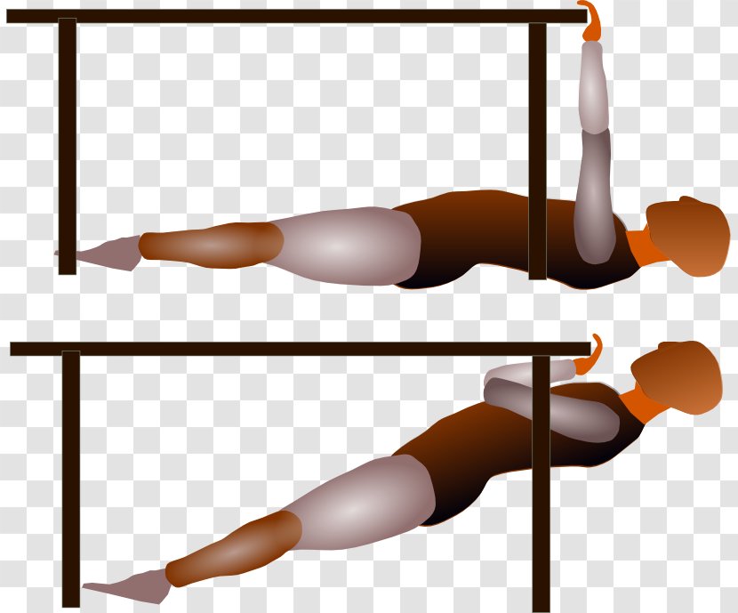 Table Pull-up Arm Row Physical Fitness - Flower Transparent PNG