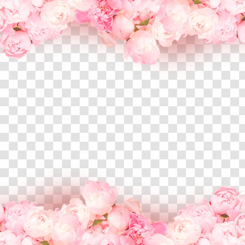 Rose Pink Wallpaper - Family - Valentine's Day Transparent PNG