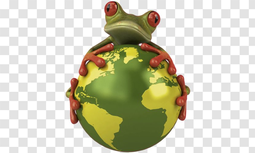 Frog Green True Toad Tree - Holiday Ornament Transparent PNG