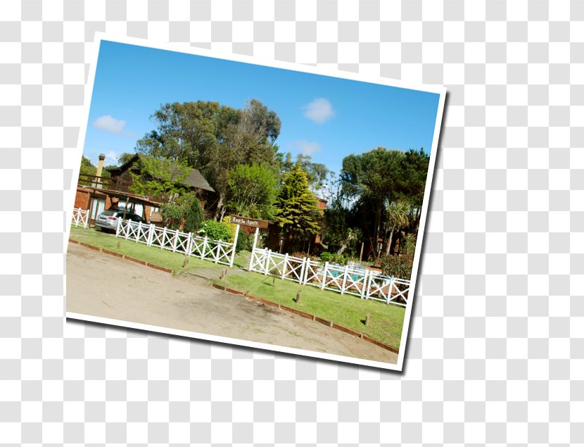 Real Property Land Lot Advertising Picture Frames - Grass - Gaviotas Transparent PNG