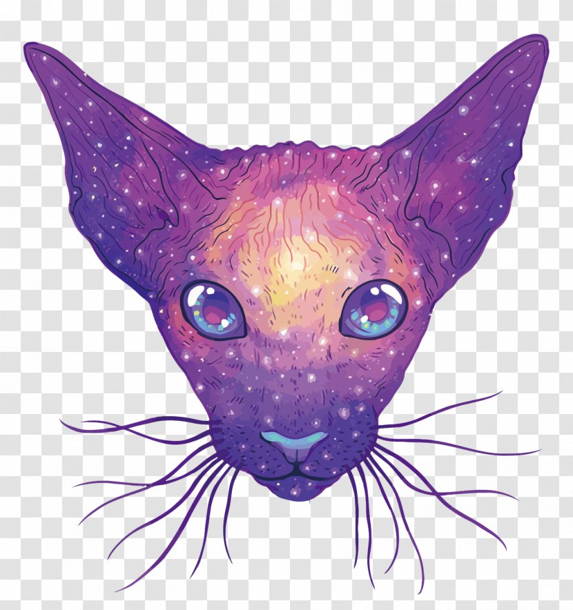 Cat Euclidean Vector - Small To Medium Sized Cats - Starry Transparent PNG