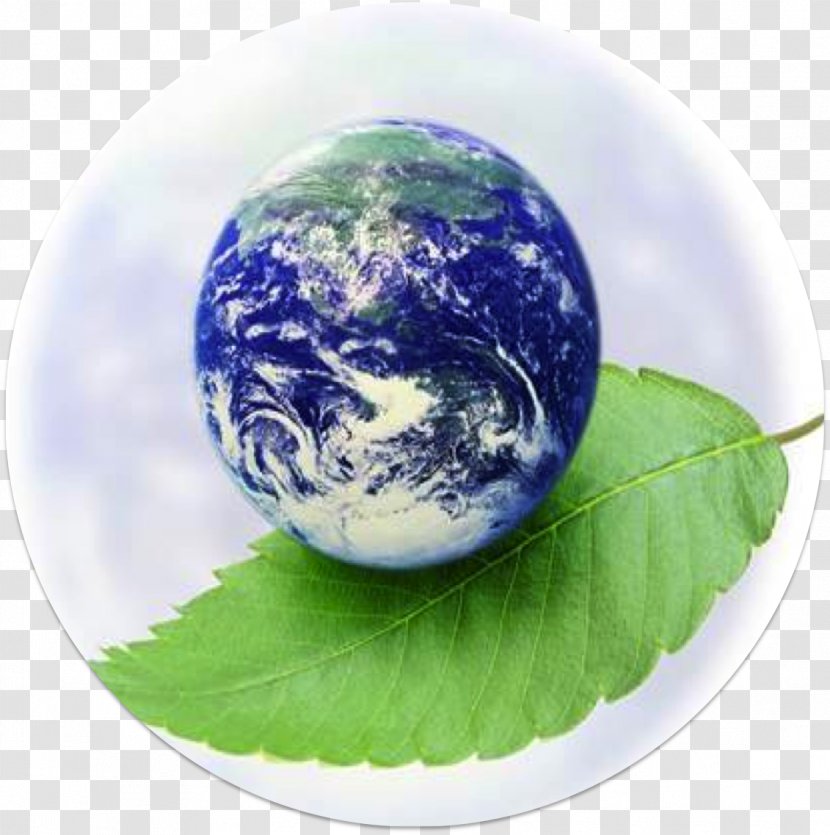 Earth Natural Environment Slogan Hindi - Sustainability Transparent PNG