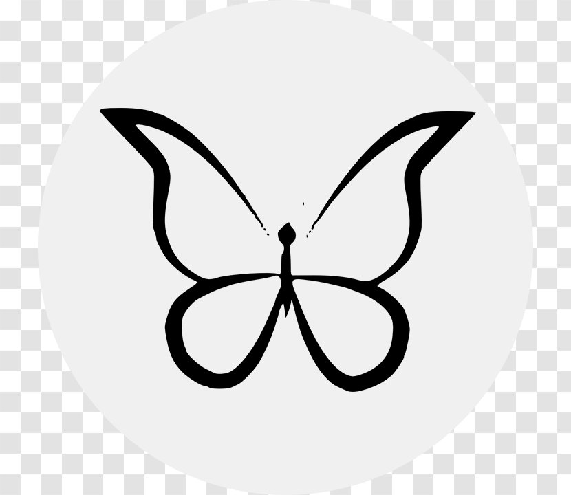 Monarch Butterfly Clip Art - Insect Transparent PNG