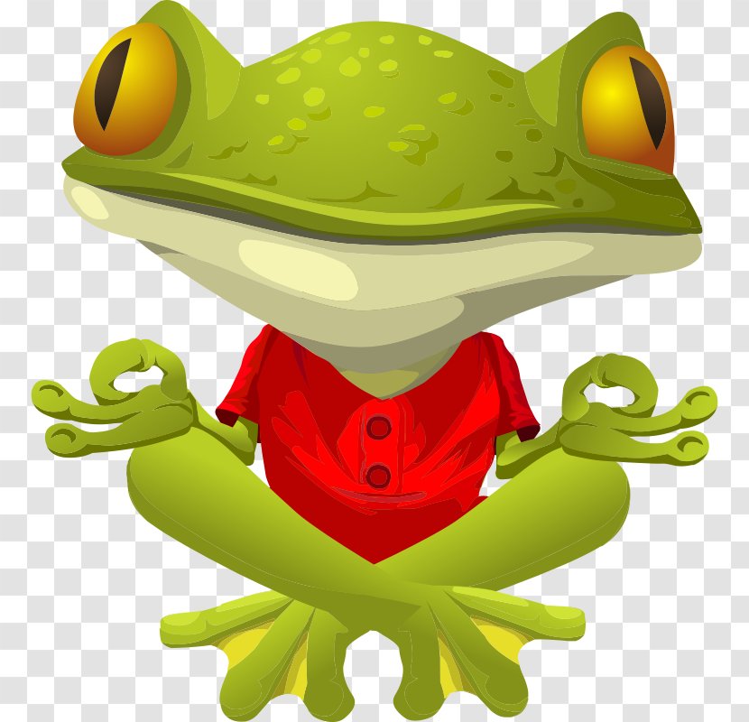 Frog Lithobates Clamitans Toad Clip Art - Yoga - Vibrant Clipart Transparent PNG