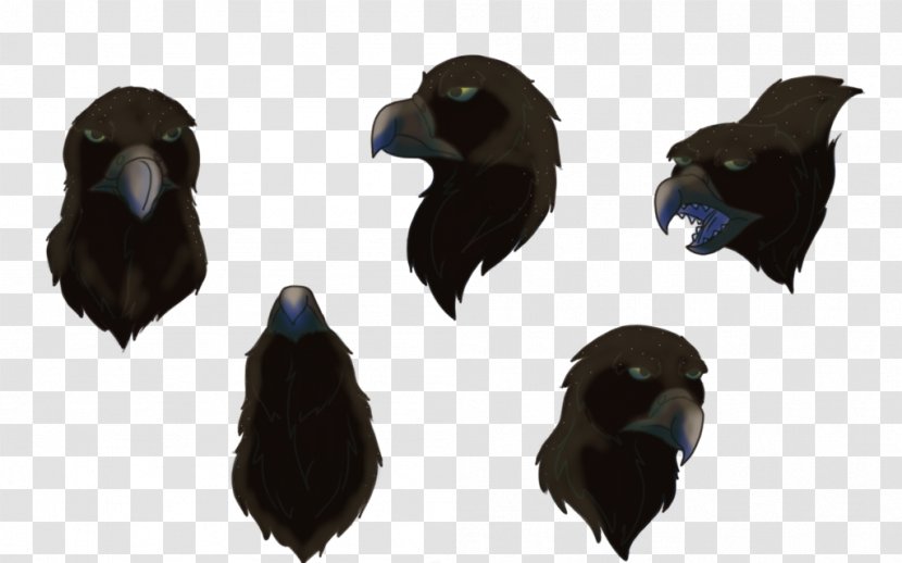 American Crow Rook Common Raven Fauna Beak - Feather - Snoopy Flying Ace 2016 Transparent PNG