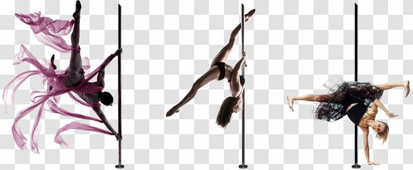 Pole Dance Artist Choreography - Acrobatics Transparent PNG