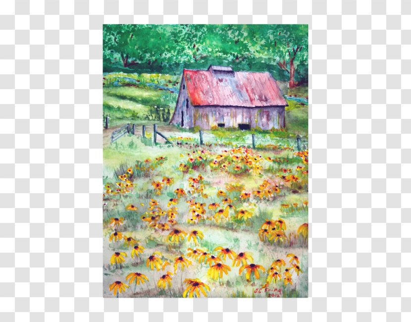 Watercolor Painting Barn Black-eyed Susan Acrylic Paint - Perennial Plant Transparent PNG