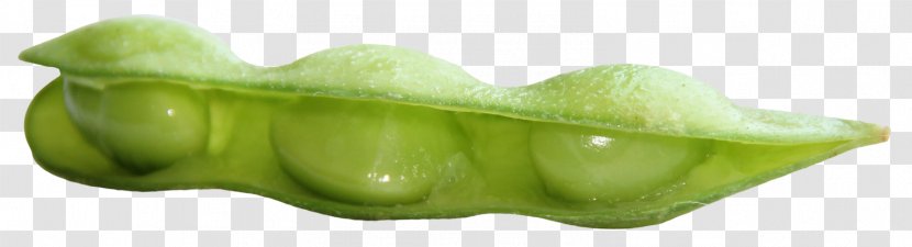 Vegetable Green Fruit - Fresh Soybean Transparent PNG