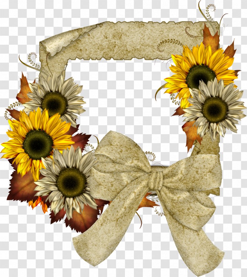 Common Sunflower Picture Frames Clip Art - Color Transparent PNG