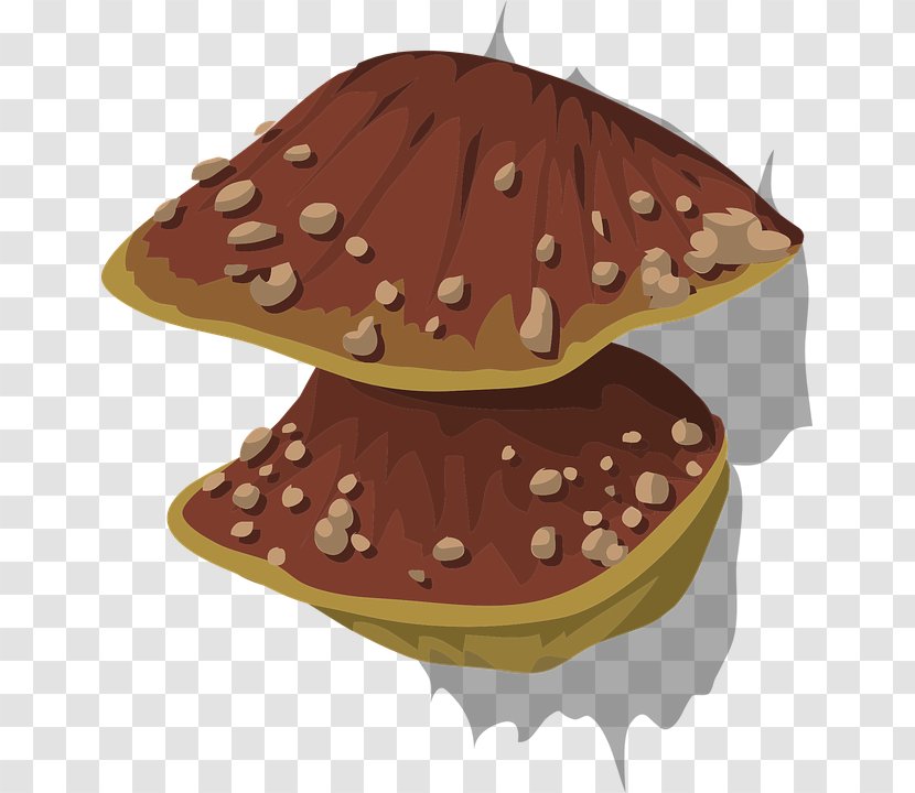 Wood-decay Fungus Mushroom - Wooddecay - Fungi Transparent PNG