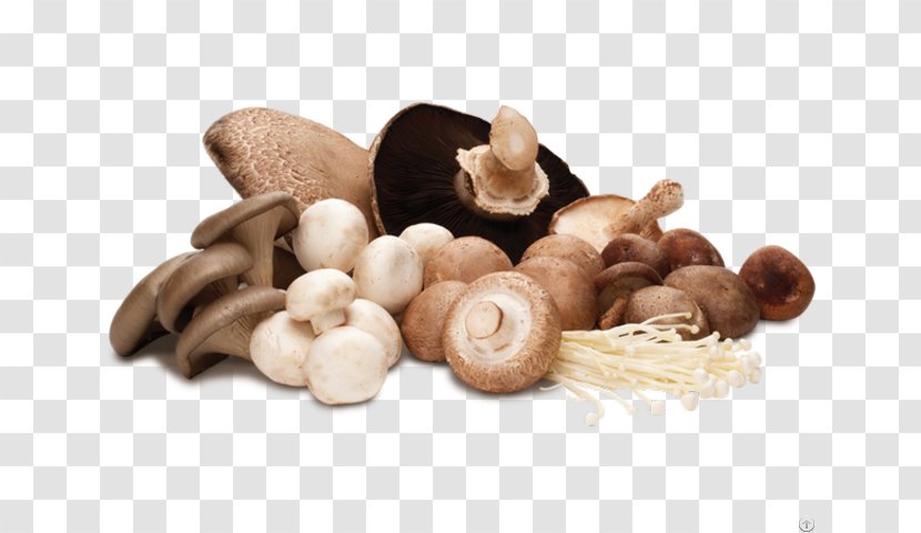 Common Mushroom Edible Hen-of-the-wood Shiitake - Food Transparent PNG