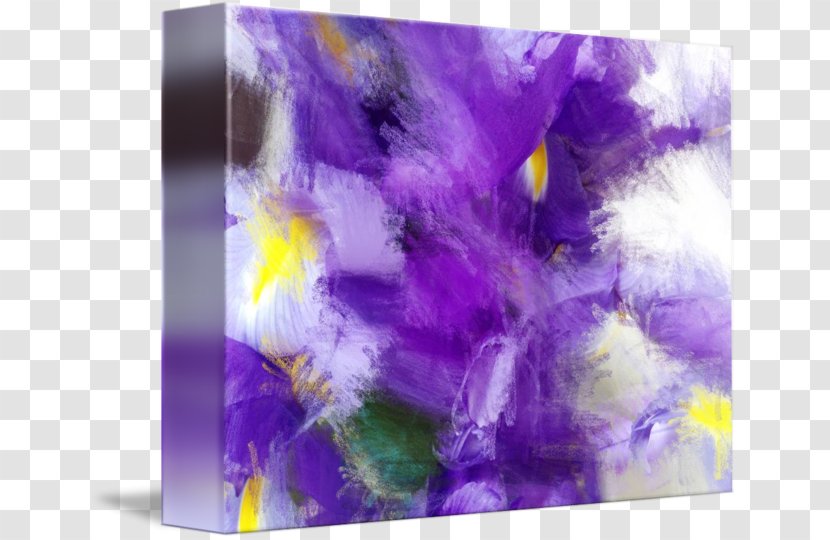Violet Family Violaceae - Iris Transparent PNG
