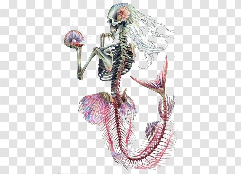 Ariel Mermaid Human Skeleton Skull - Frame Transparent PNG