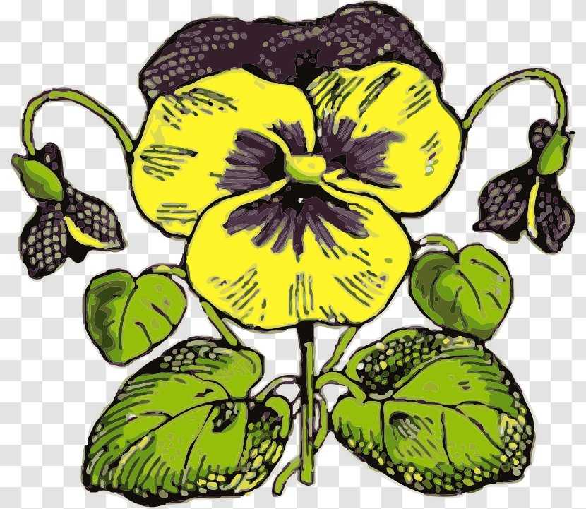 Flower Pansy Clip Art - Organism - Picture Of Daisies Transparent PNG